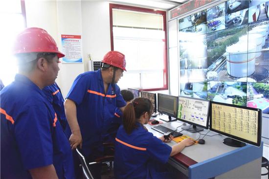 大桥石化油最便宜吗,大桥石化汽油的油品怎么样