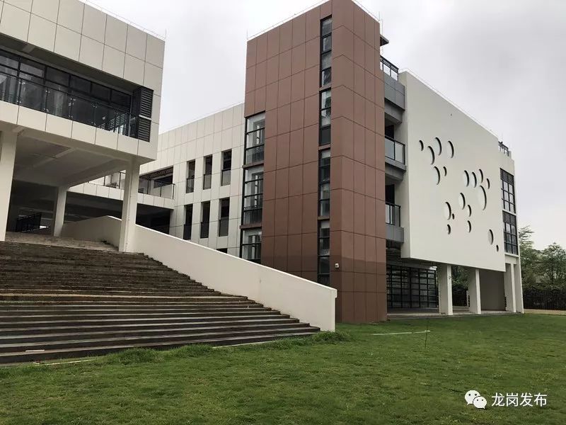 龙岗新建的幼儿园有哪些,龙岗新生片区有哪些幼儿园