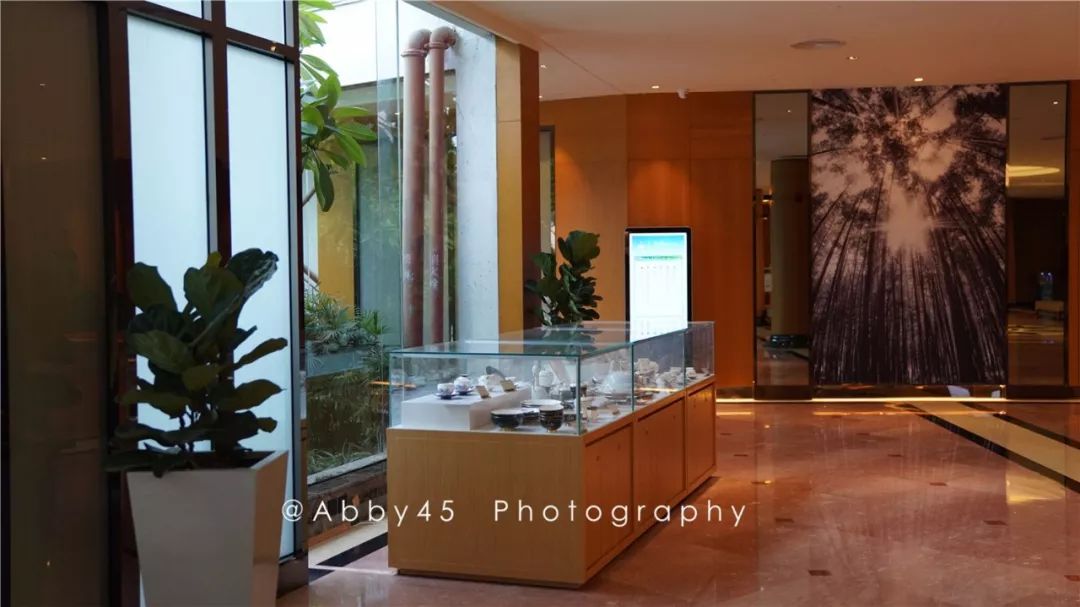 厦门这是个什么神仙酒店，不仅有金砖国宴佛跳墙，还有7万平森林