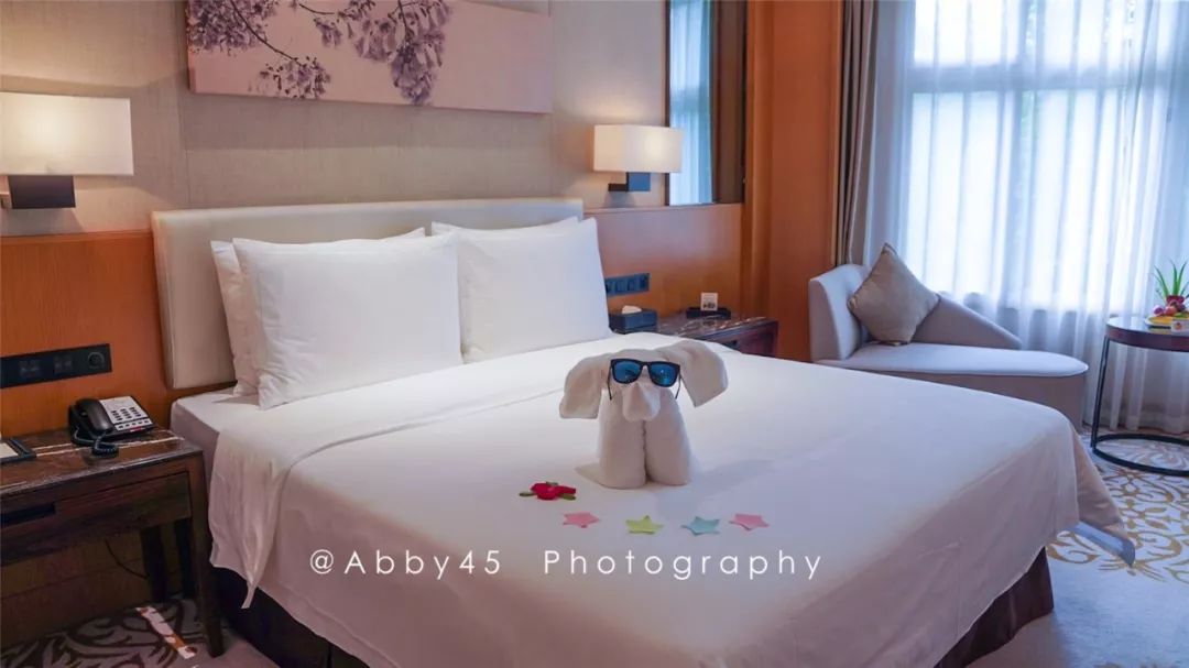 厦门这是个什么神仙酒店，不仅有金砖国宴佛跳墙，还有7万平森林