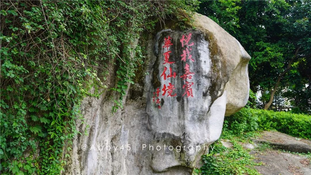 厦门这是个什么神仙酒店，不仅有金砖国宴佛跳墙，还有7万平森林