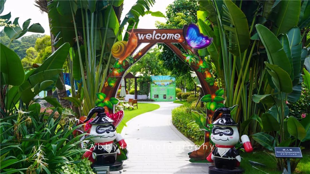 厦门这是个什么神仙酒店，不仅有金砖国宴佛跳墙，还有7万平森林