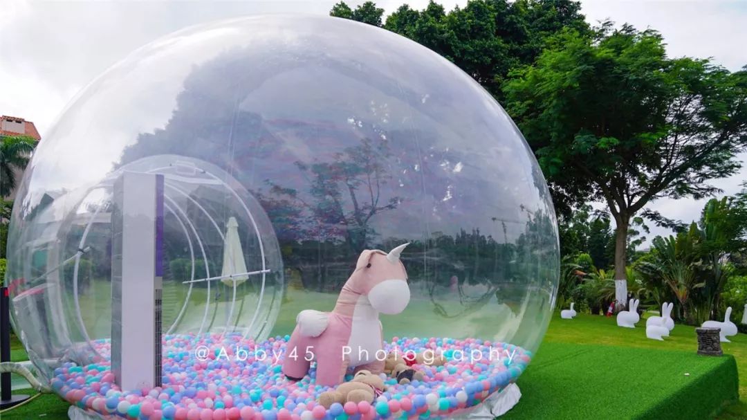 厦门这是个什么神仙酒店，不仅有金砖国宴佛跳墙，还有7万平森林