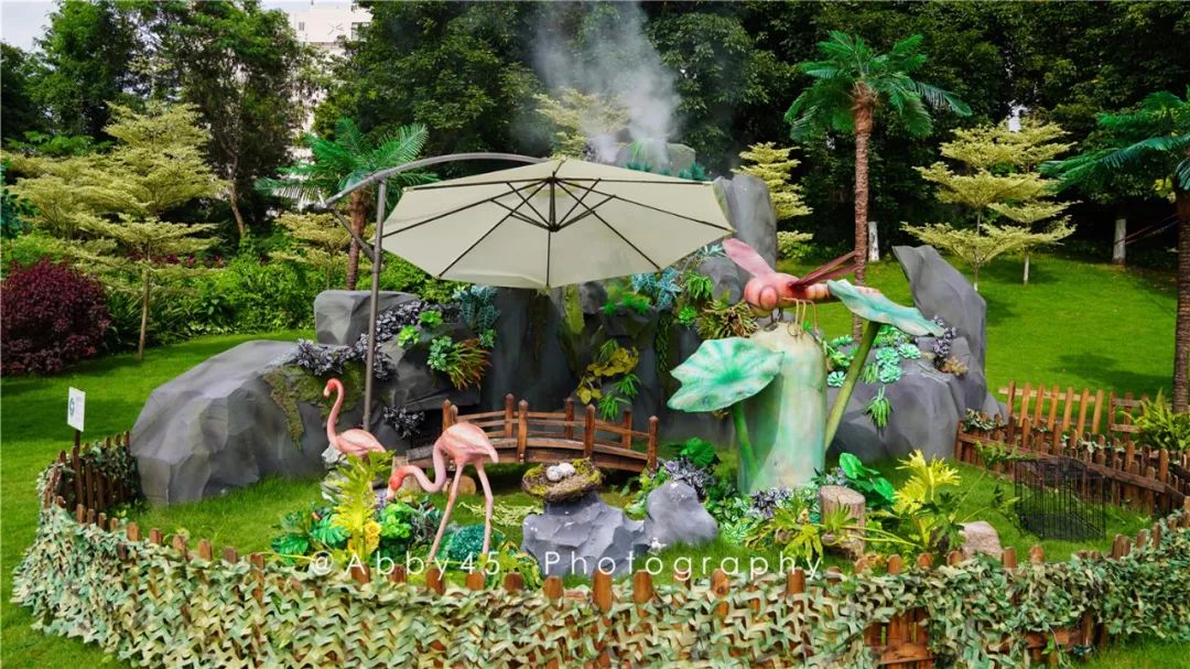 厦门这是个什么神仙酒店，不仅有金砖国宴佛跳墙，还有7万平森林