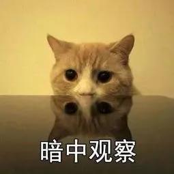 滨州市2021年房价排名,滨州各小区房价一览表