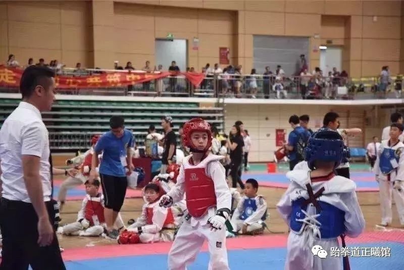 增城少年宫跆拳道,增城哪里有学儿童跆拳道的