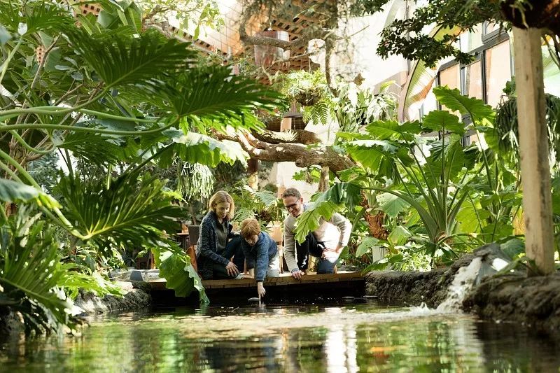 这个在欧洲火了50年的网红度假村要来常州门口啦