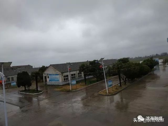 滨海中考各学校升学率,关注中考成绩