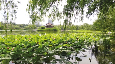 森林氧吧夏日避暑游玩好去处,洗肺又小众的山水秘境