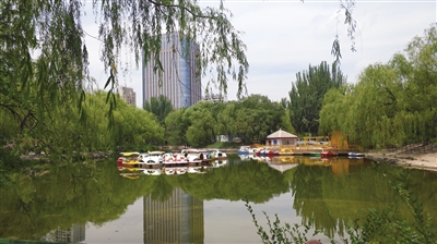 森林氧吧夏日避暑游玩好去处,洗肺又小众的山水秘境