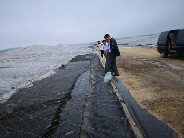 价格最高的人工养殖食用鱼,人工养殖经济效益最好的鱼
