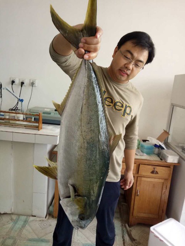 价格最高的人工养殖食用鱼,人工养殖经济效益最好的鱼