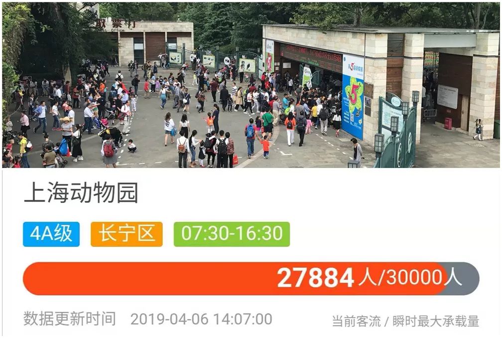 上海治安大调研,上海公安调查