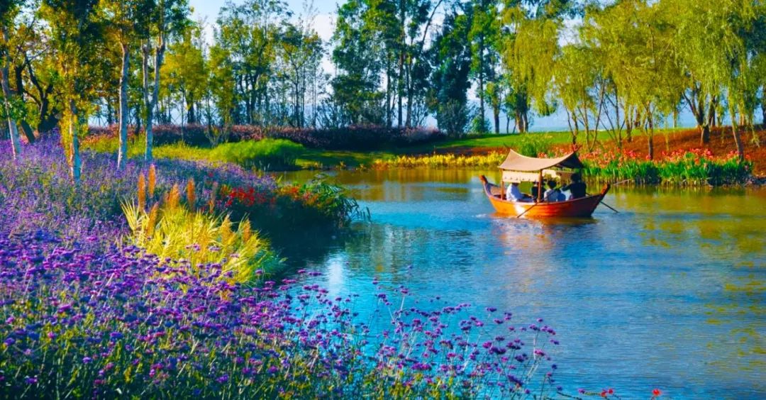 滇池边的湿地公园哪个值得去,滇池边最值得打卡的湿地