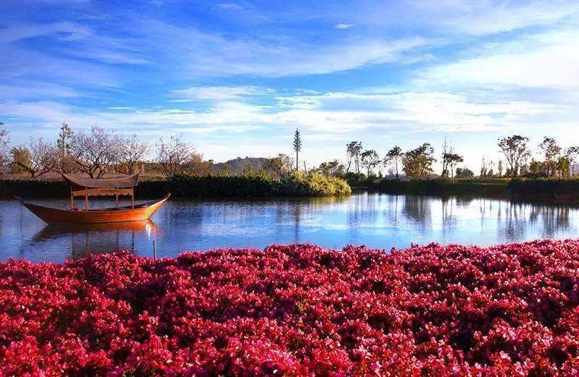滇池边的湿地公园哪个值得去,滇池边最值得打卡的湿地