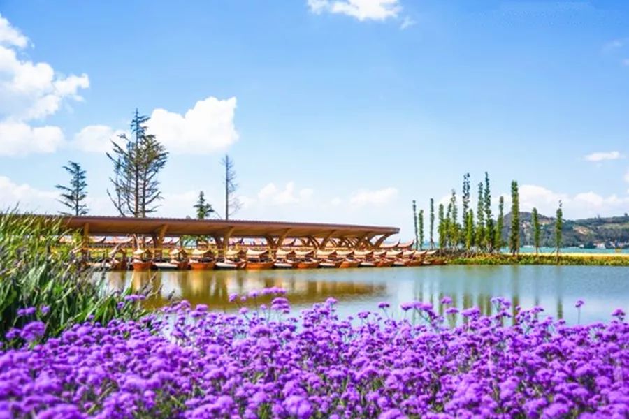 滇池边的湿地公园哪个值得去,滇池边最值得打卡的湿地