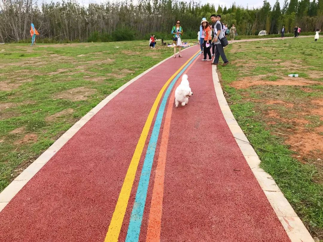 滇池边的湿地公园哪个值得去,滇池边最值得打卡的湿地