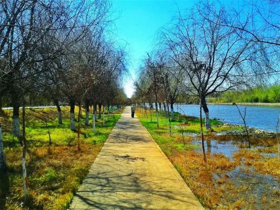 滇池边的湿地公园哪个值得去,滇池边最值得打卡的湿地