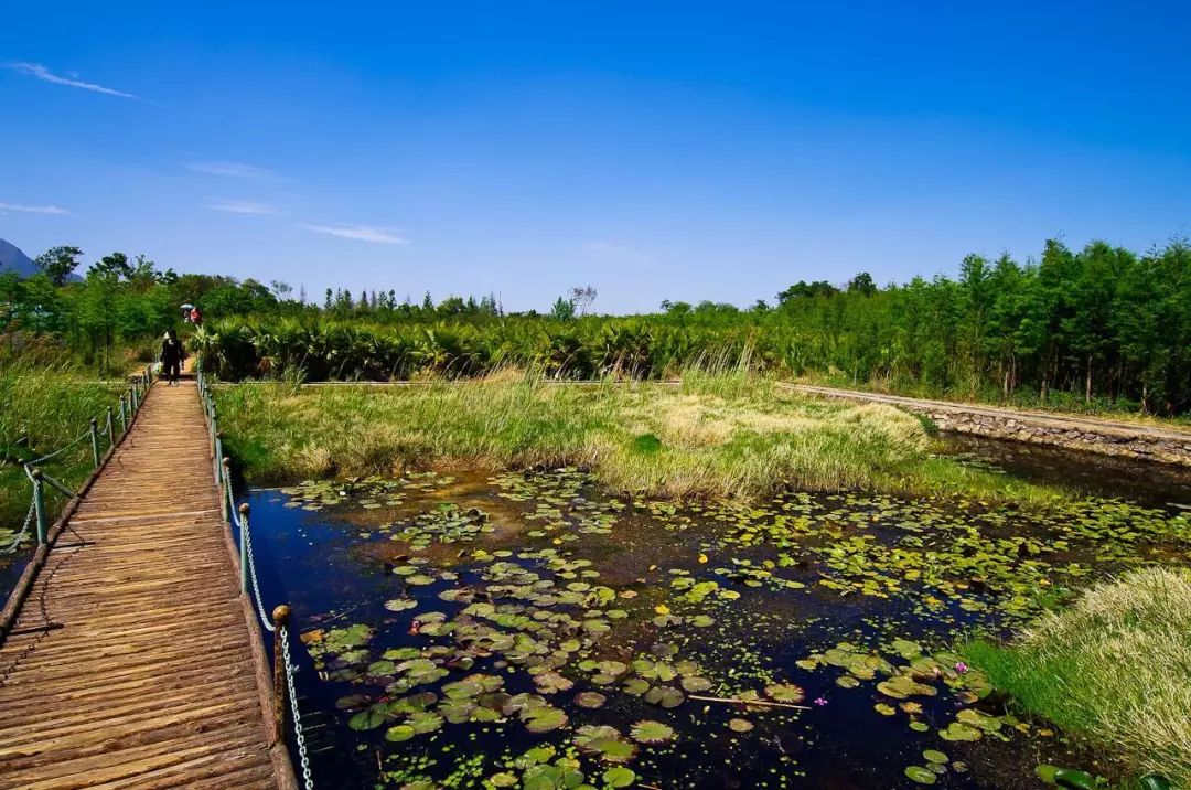 滇池边的湿地公园哪个值得去,滇池边最值得打卡的湿地