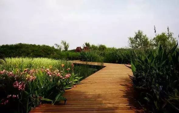 滇池边的湿地公园哪个值得去,滇池边最值得打卡的湿地