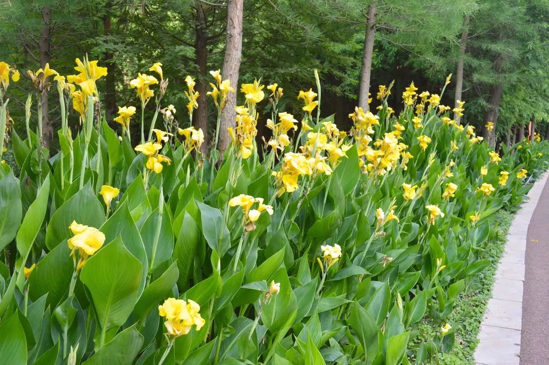 滇池边的湿地公园哪个值得去,滇池边最值得打卡的湿地