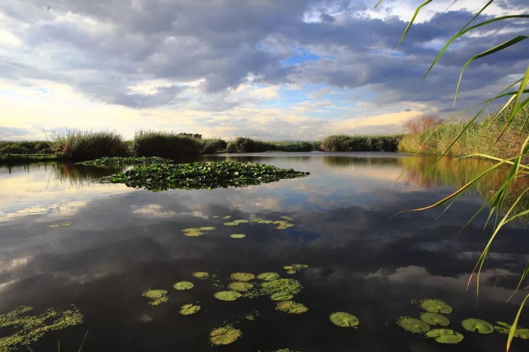 滇池边的湿地公园哪个值得去,滇池边最值得打卡的湿地