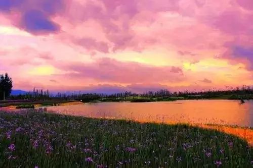 滇池边的湿地公园哪个值得去,滇池边最值得打卡的湿地