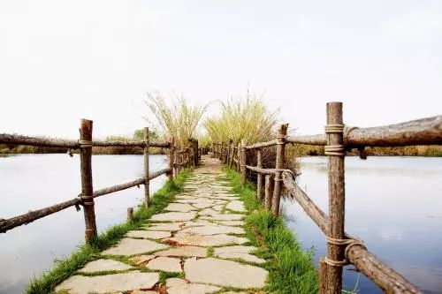 滇池边的湿地公园哪个值得去,滇池边最值得打卡的湿地