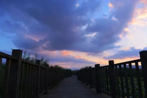 滇池边的湿地公园哪个值得去,滇池边最值得打卡的湿地