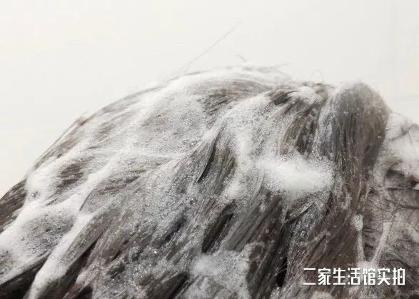 好物|花上千块做护理，在家却用烂大街牌洗发水虐待自己