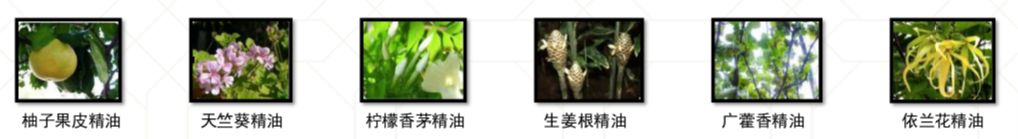 好物|花上千块做护理，在家却用烂大街牌洗发水虐待自己