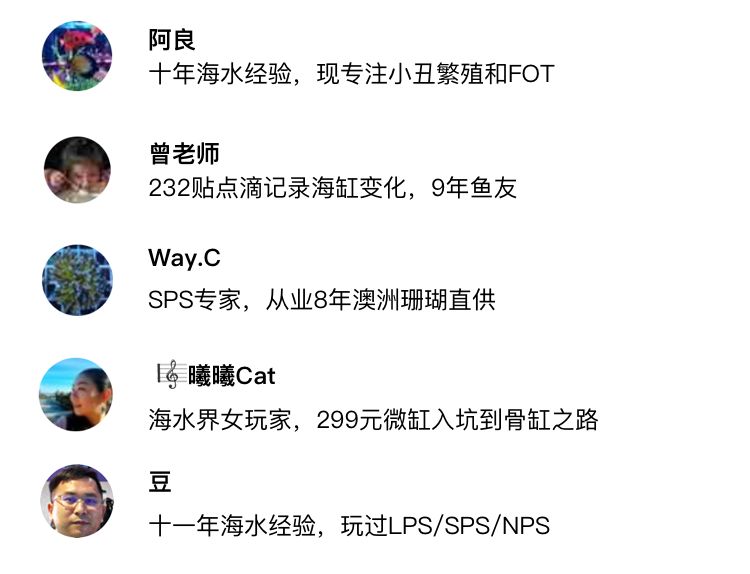 2019年我大学毕业后在日本开个海水店