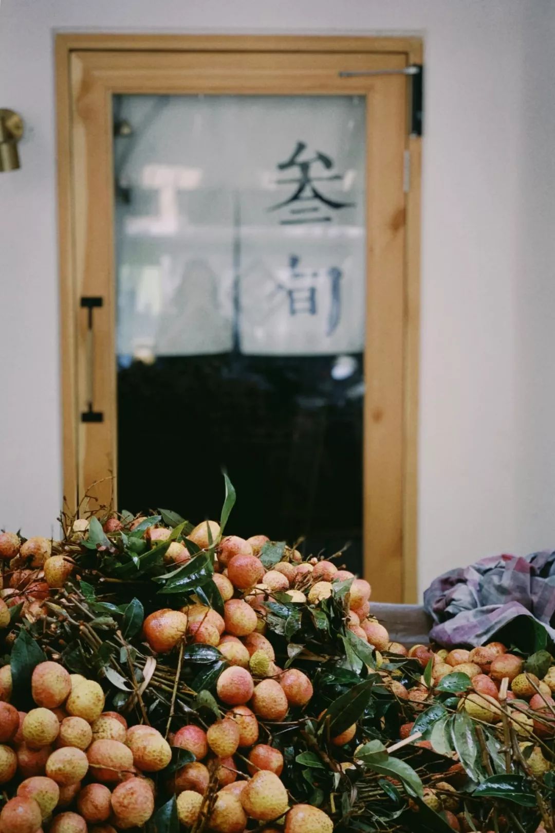 mini暑假の高光时刻-我在成都见到了青山周平