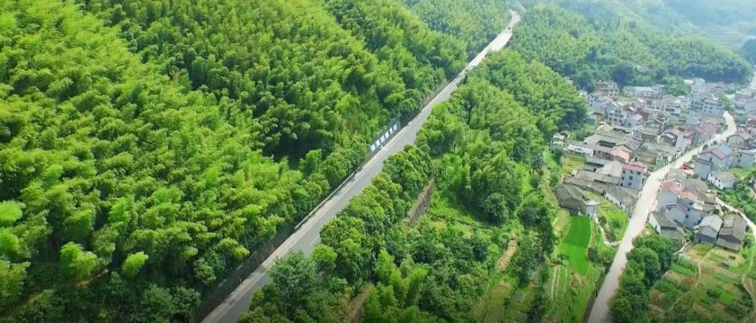 告白！以浙江的名义！看交通的实力