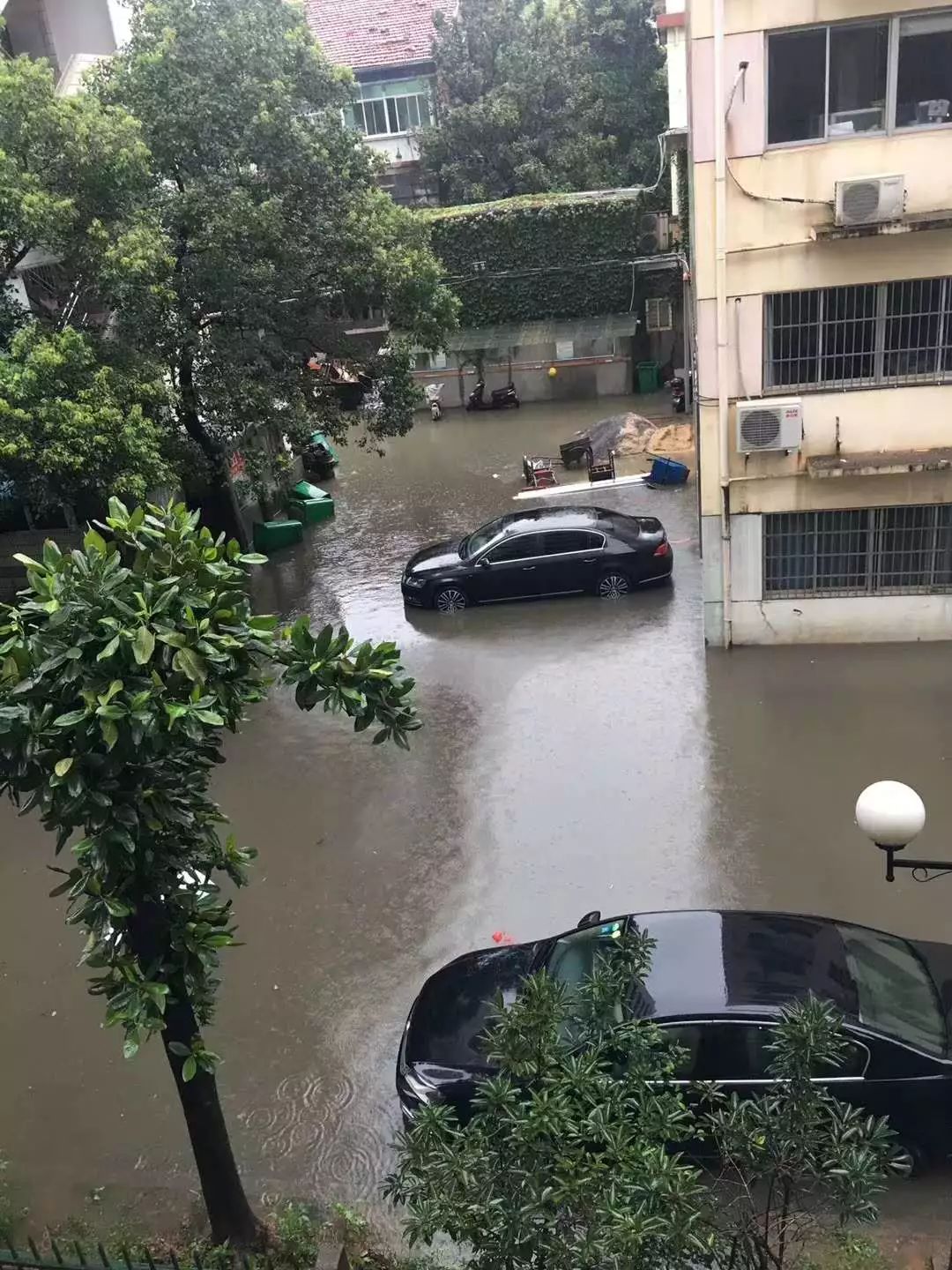 暴雨天出门,江西男子染上这种病!医生提醒:严重可致命