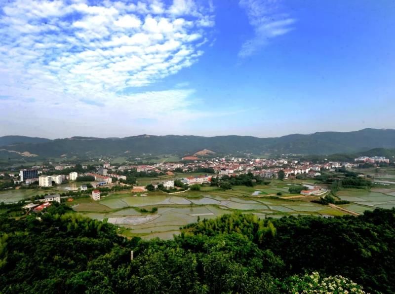 要火了!荆门这个村子拟入选这个国家级名单!