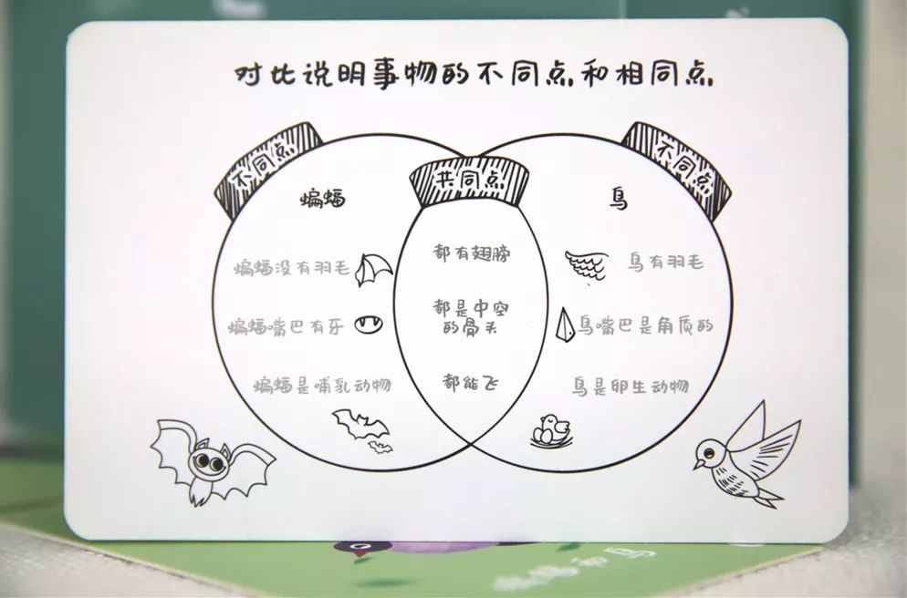 上小学的孩子如何提高他的自信,小学如何锻炼孩子的空间想象能力