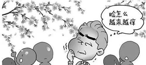 夏季皮肤过敏如何护理,夏天皮肤过敏最佳治疗方法