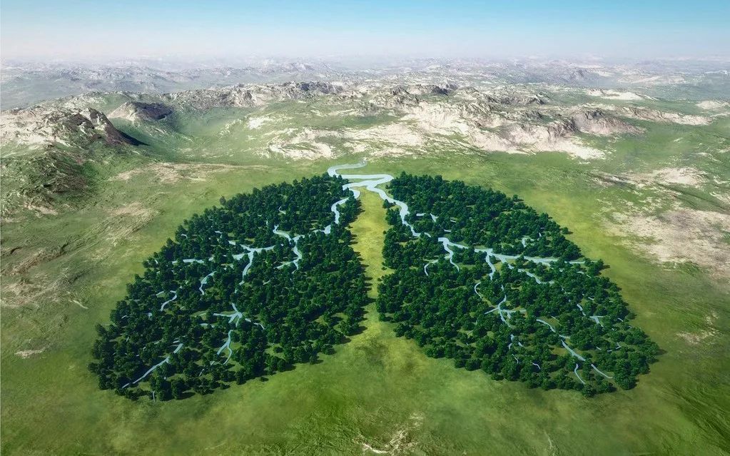 气短点什么穴位,天生气短如何锻炼肺功能