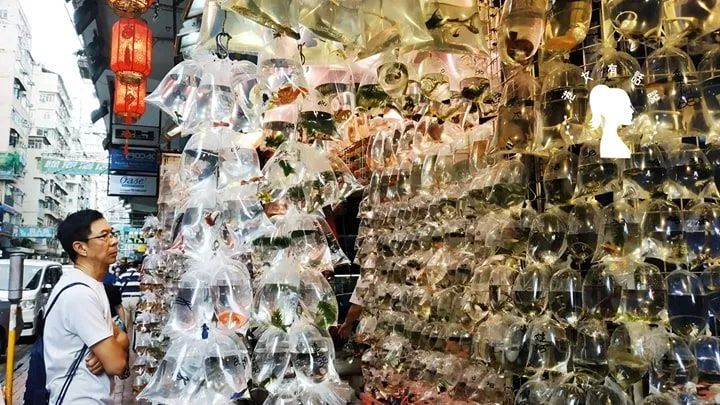 香港值得去的购物街,香港购物必去的街