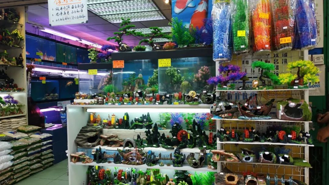 香港值得去的购物街,香港购物必去的街