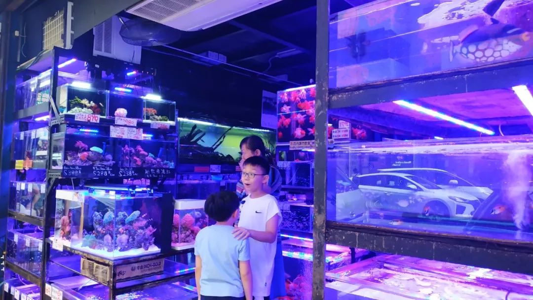 香港值得去的购物街,香港购物必去的街