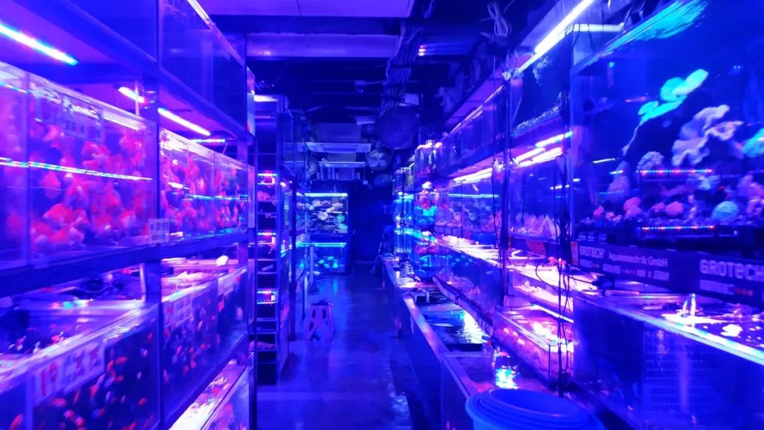 香港值得去的购物街,香港购物必去的街