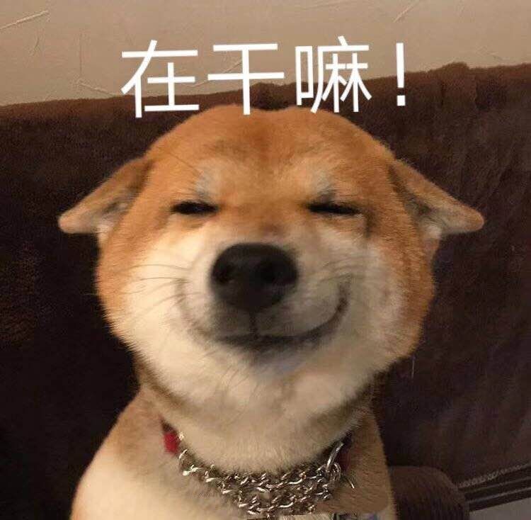 张子枫欧阳娜娜是真是假,张子枫给欧阳娜娜找衣服