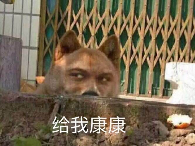 张子枫欧阳娜娜是真是假,张子枫给欧阳娜娜找衣服