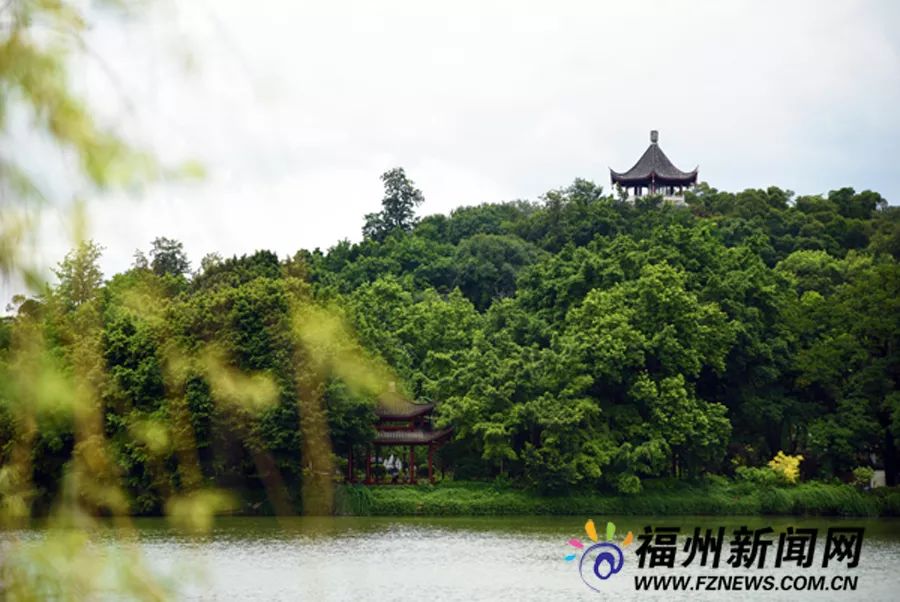 那些夏日让你凉快的美图,夏日避暑美图