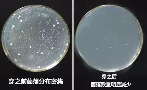 丢掉大妈*裤内**！换上它，清爽舒服，连老公都夸漂亮