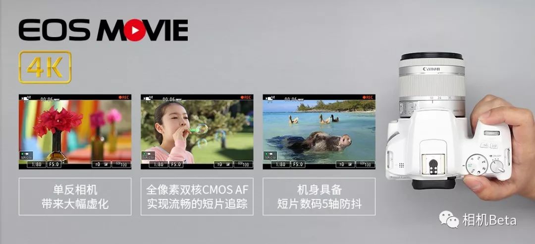 小单反相机入门,最小的单反相机有哪些