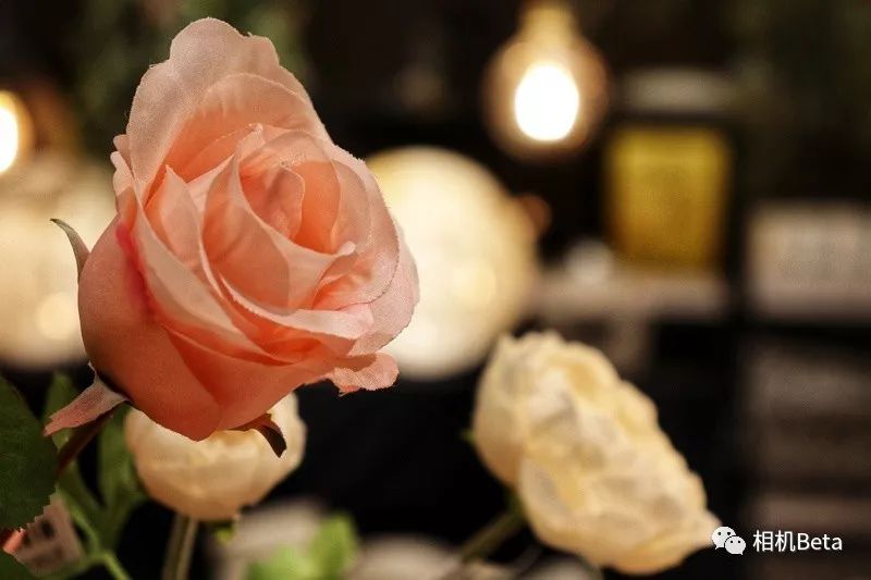 小单反相机入门,最小的单反相机有哪些