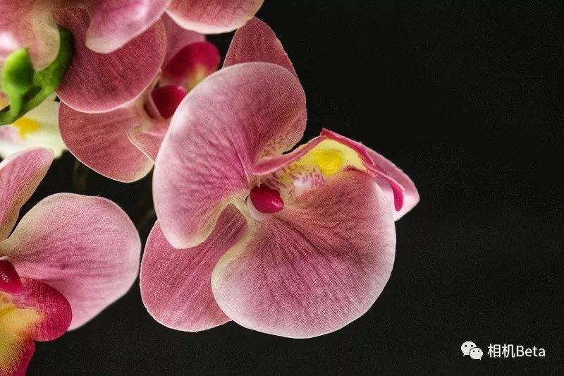 小单反相机入门,最小的单反相机有哪些